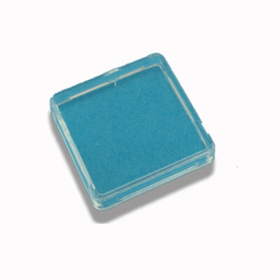 SWITCH BUTTON GPB1115 LENS CAP